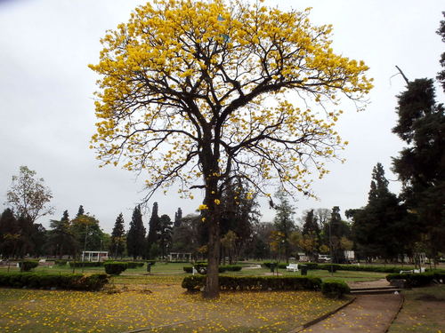 9 de Julio Parque.